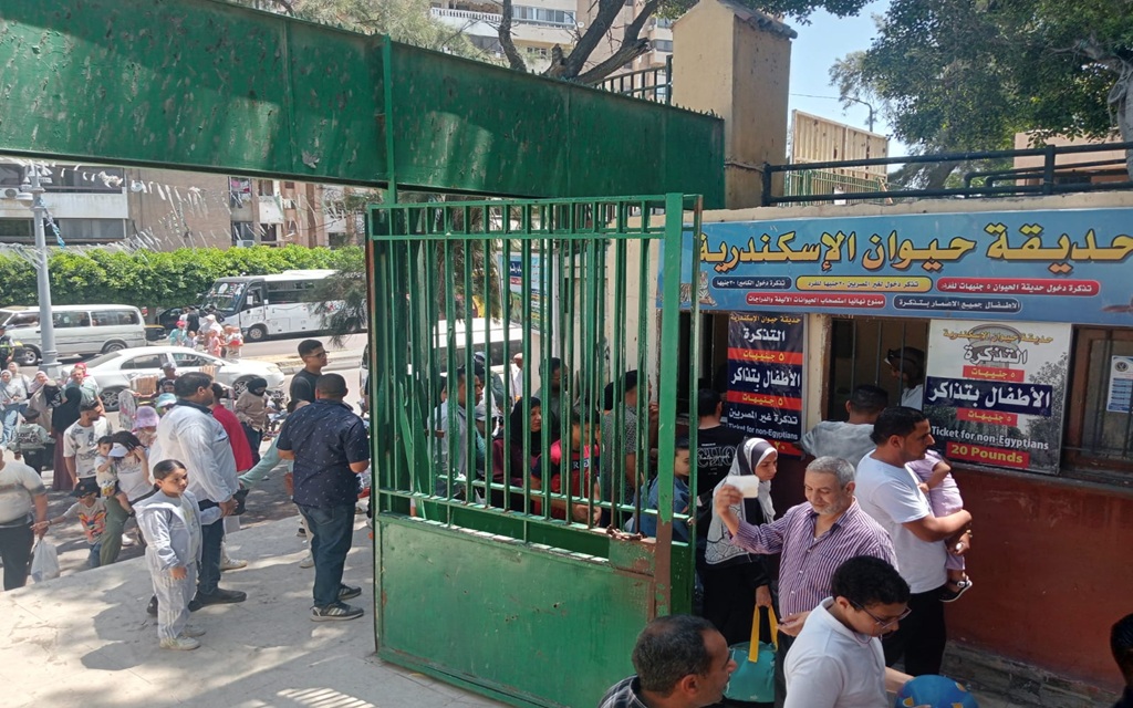 أرشيفية